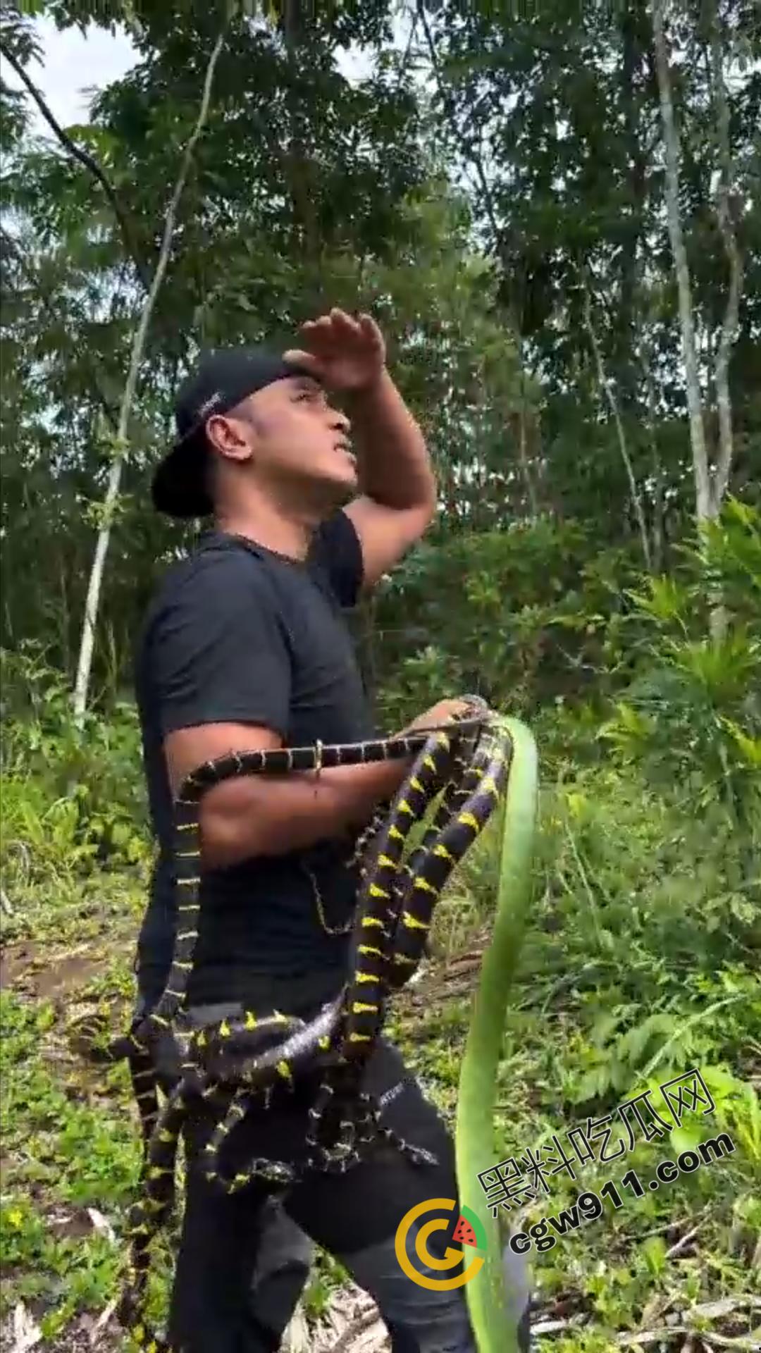 恐怖渗人！越南老哥终日与毒蛇共舞，练就百毒不侵的体魄，神操作直接看呆众人-5