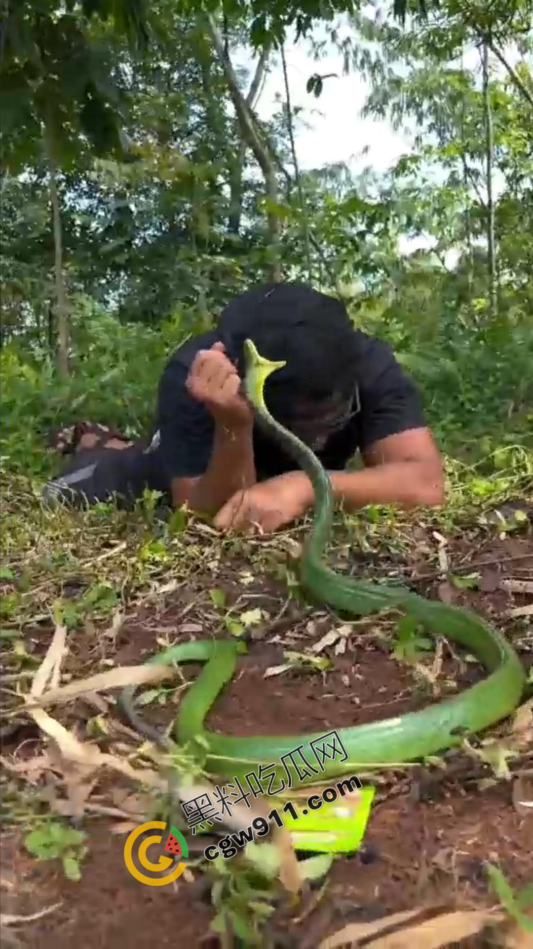 恐怖渗人！越南老哥终日与毒蛇共舞，练就百毒不侵的体魄，神操作直接看呆众人-6
