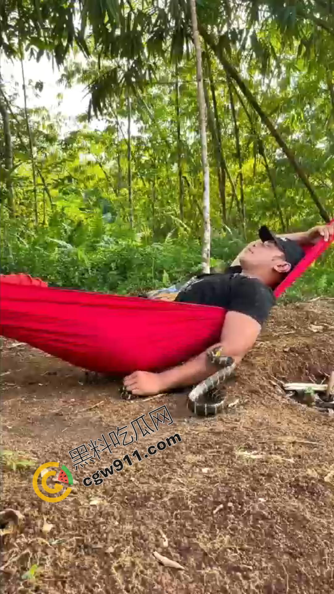 恐怖渗人！越南老哥终日与毒蛇共舞，练就百毒不侵的体魄，神操作直接看呆众人-9