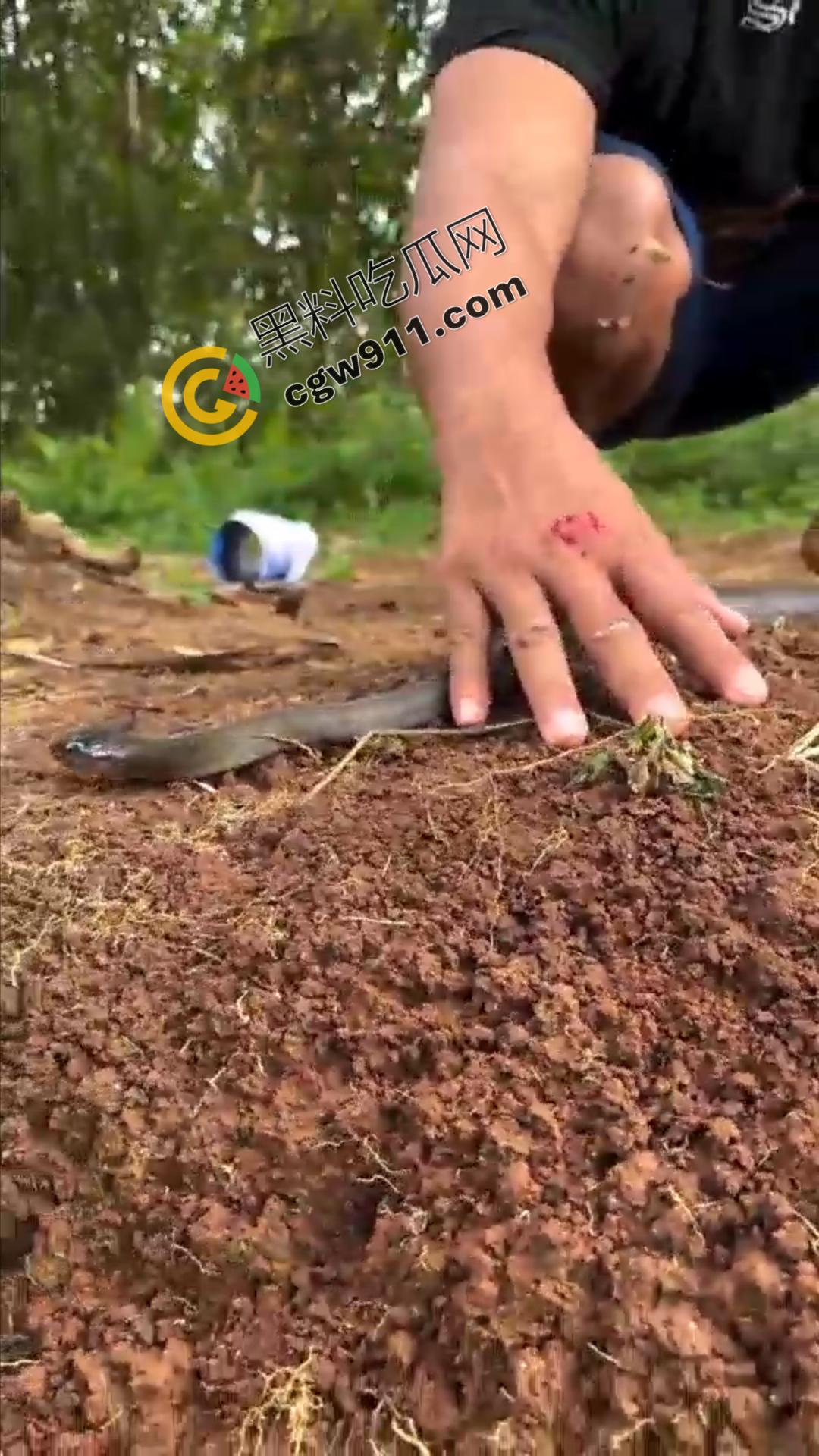 恐怖渗人！越南老哥终日与毒蛇共舞，练就百毒不侵的体魄，神操作直接看呆众人-10