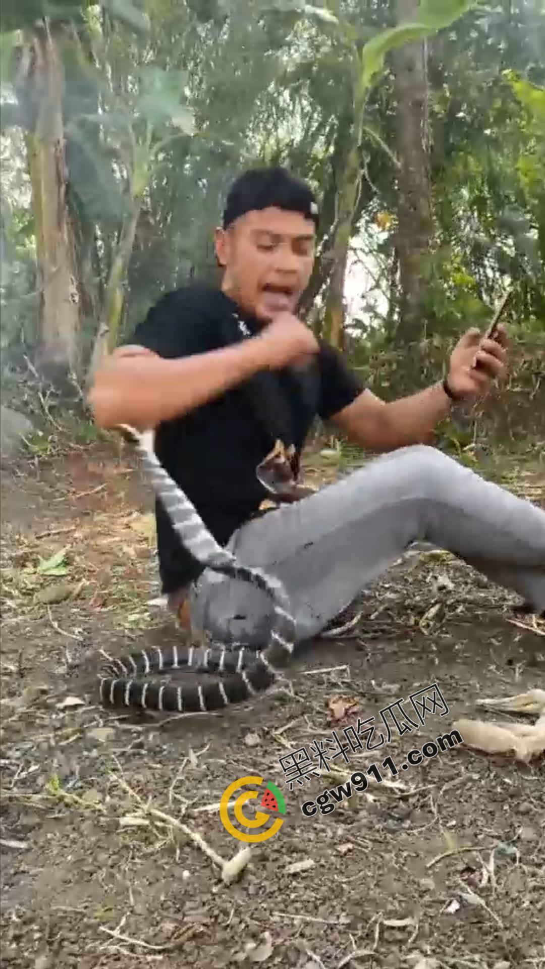 恐怖渗人！越南老哥终日与毒蛇共舞，练就百毒不侵的体魄，神操作直接看呆众人-11