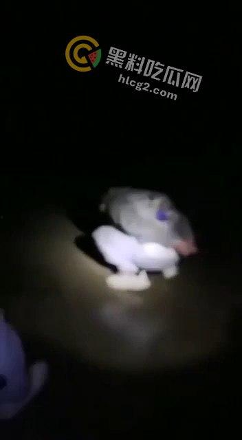 缅甸KK园区猪仔被打视频曝光，珍爱生命远离诈骗！-8