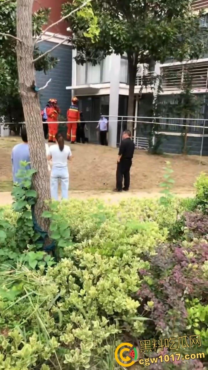 安徽马鞍山和县京都公馆,一头野猪将居民门撞坏后跑进居民家里,公安携带猎犬和道具将野猪麻醉 !-1