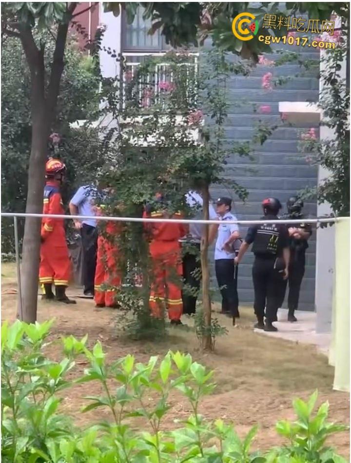 安徽马鞍山和县京都公馆,一头野猪将居民门撞坏后跑进居民家里,公安携带猎犬和道具将野猪麻醉 !-2