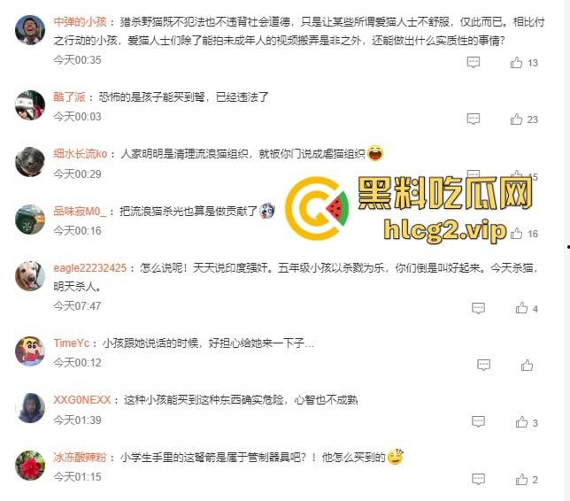 超熊男孩弩箭练杀技！虐猫升级还不够，下一步就是全家屠杀，老妈还在旁边玩消消乐-2