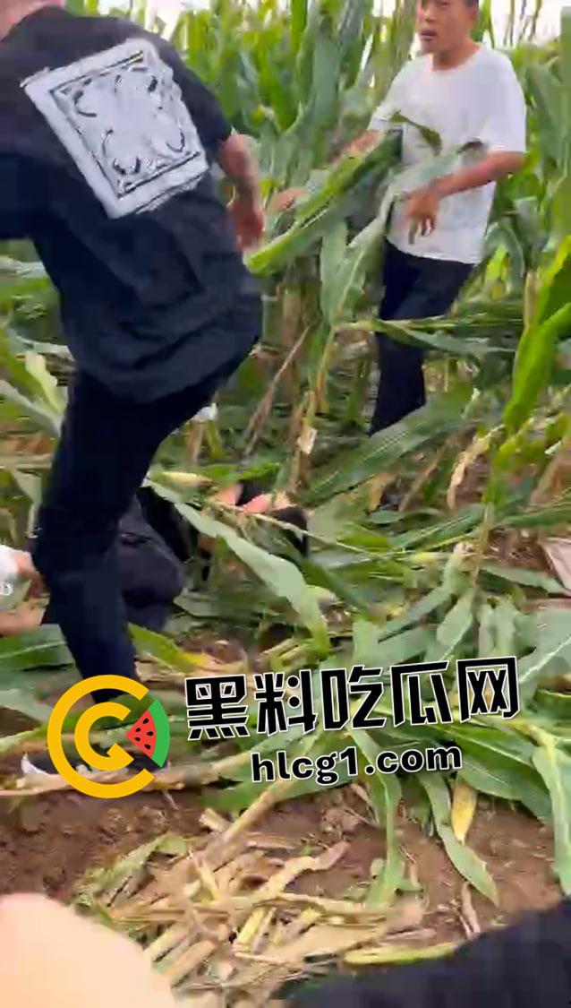 快手大瓜！河南林州红脸社霸凌围殴全集视频！ 古惑仔的河南本土化 哥哥你满嘴靠嫩娘真帅-2