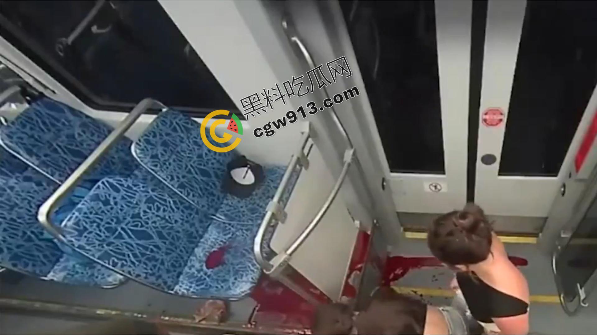 乌克兰难民赴美梦断轻轨：陌生男子无故刺喉夺命，年轻女子血染车厢，引发社会关注-12