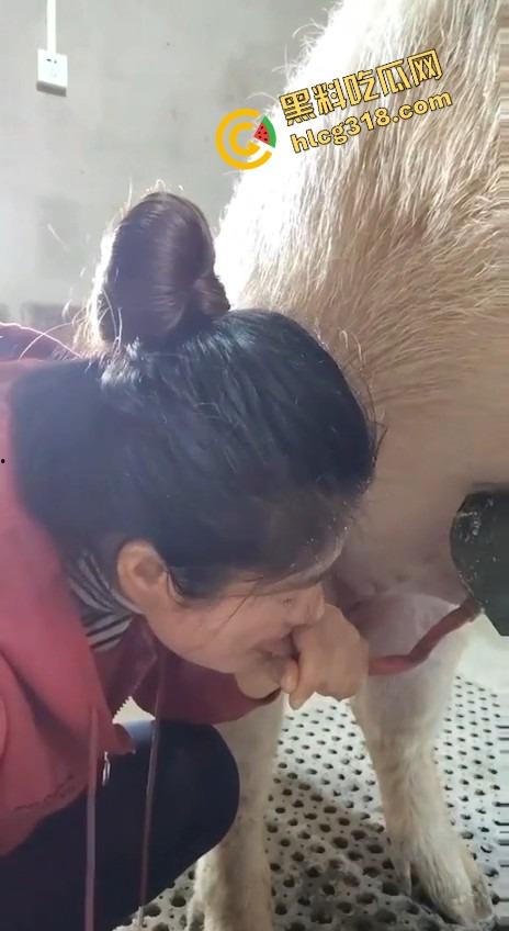 美女上岗第一天就被安排帮猪撸取精,手法娴熟动作老练,取精现场表情管理拉满-9