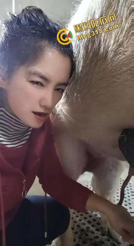 美女上岗第一天就被安排帮猪撸取精,手法娴熟动作老练,取精现场表情管理拉满-10