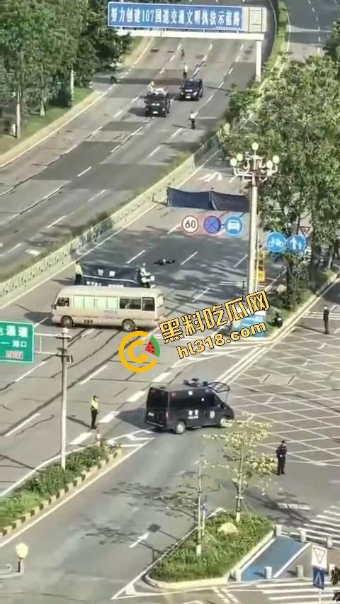 东莞中堂街头真人炸鸡秀，大哥背炸弹变身爆破鬼才堵路，手握军刺装狠，警方现场上演爆头大戏！-7