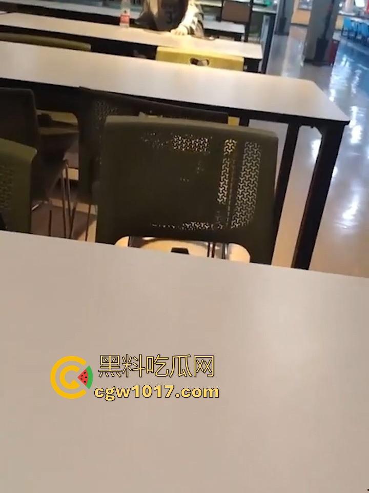 餐厅内情侣大胆玩抠逼，妹子表情扭曲高潮，全自动骑乘榨精，从娇羞到高潮喷潮，合着我们都是你们pay中的一环呗！-7