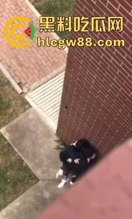 春天来了，动物们到了交配的季节了，情侣们性欲来了完全不顾旁人现场就是干！-2