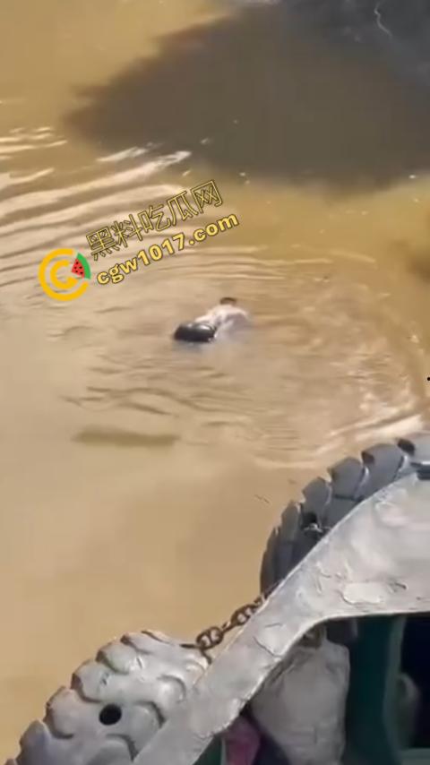 男子野泳惨遭鳄鱼袭击，身体被肆意撕裂，尸体血肉模糊，搜救队惊惧地目睹这惨绝人寰的一幕-8