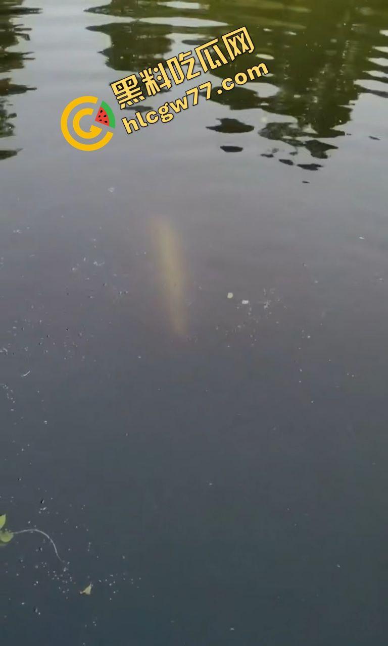 浙江宁波月湖公园惊爆变态大瓜，男子偷鱼用鱼嘴撸管，保安抓场逼放生！-6