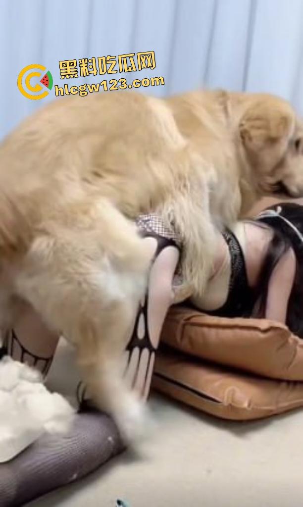 华中科技大学博士【秦妮】连体黑丝被金毛后入肥B叫声，男友在一旁被狗“绿”得真过瘾！-4