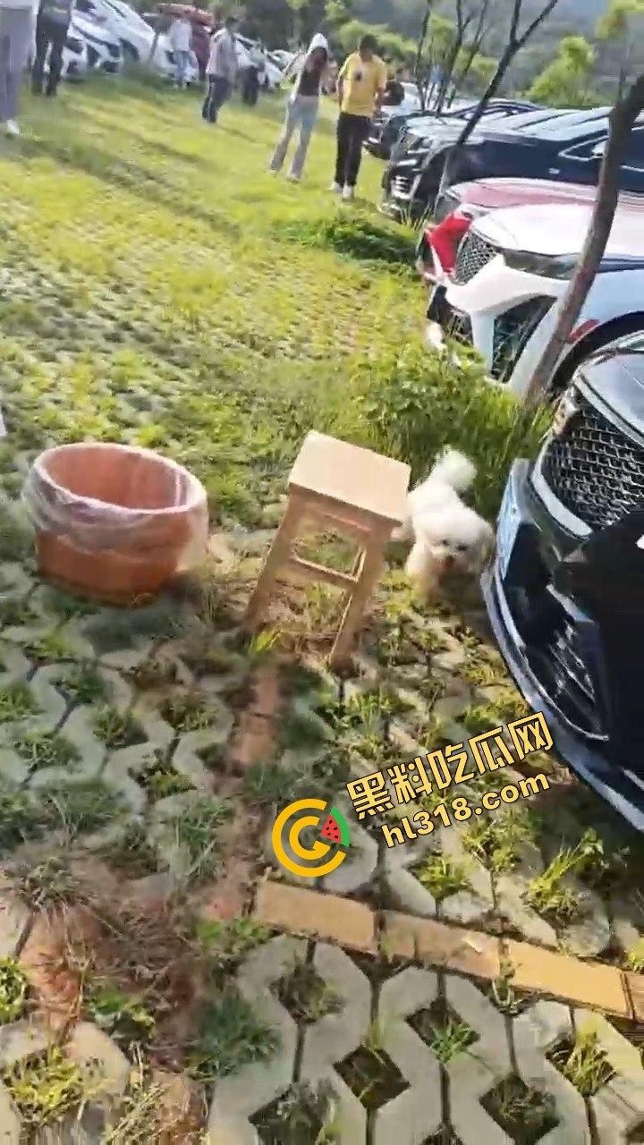 凯迪拉克聚会开到野外,把全会所女人都包了,足浴热舞酒水不断,真有你的凯之星!奢靡盛宴谁能比?-5