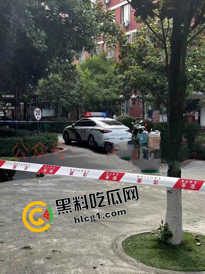 四川托普信息技术职业学院 在校学生生孩子扔垃圾桶被发现 还是被操流产的 真地狱开局-4