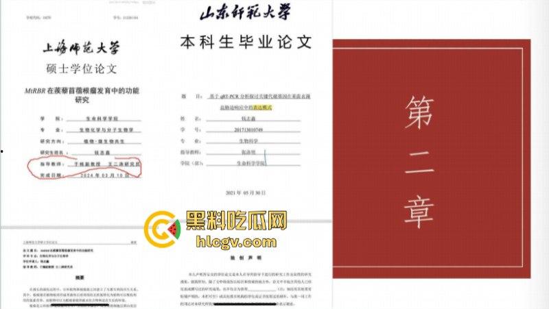 炸裂一家子！上海师范大学女研究生【钱志鑫】知三当三为论文甘愿被导师王二涛爆操 遭男友23页PPT全网曝光-11