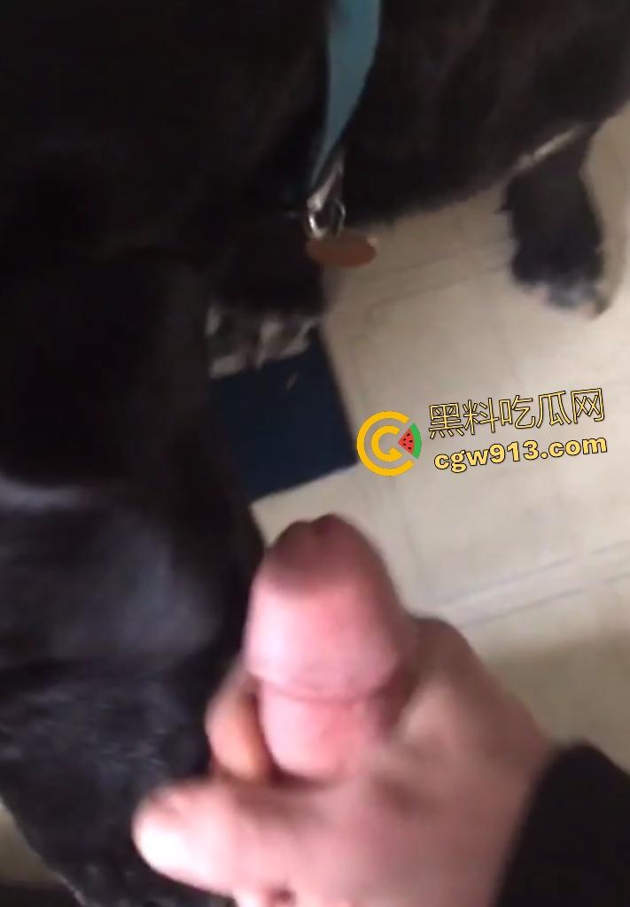 外国猛男与黑狗上演人兽大戏，叫自家黑母狗给自己口交舔鸡巴，还想撸管射精喂狗，这人狗情未了啊！-8
