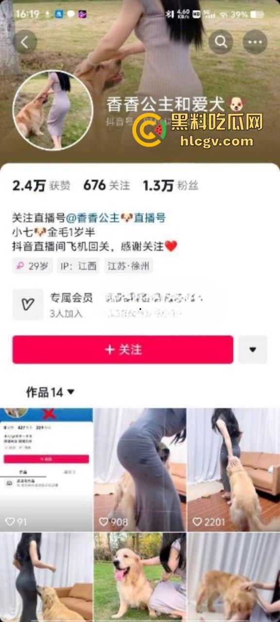 抖音小姐姐【香香公主】给科普兽交注意事项 每天都在和金毛上演人兽配！-1