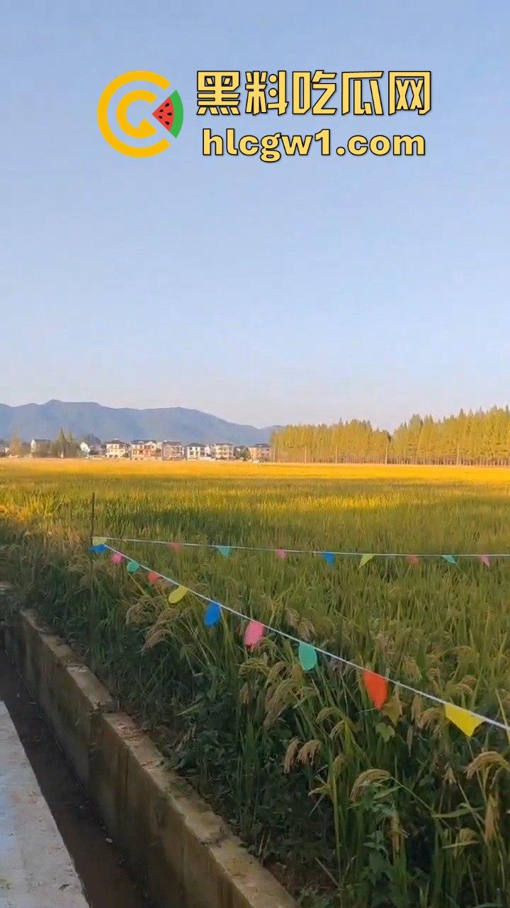 户外野战被拍！小情侣野战以为没人看，结果被摄像大哥拍得清清楚楚，这瓜友是他们play的隐藏角色？-1