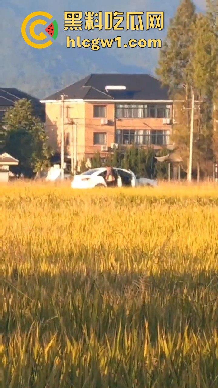 户外野战被拍！小情侣野战以为没人看，结果被摄像大哥拍得清清楚楚，这瓜友是他们play的隐藏角色？-4