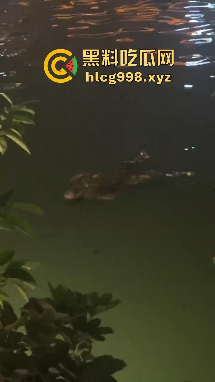 瓜友爆料！成都兰桂坊门口河里惊现浮尸，场面诡异引发热议！-7