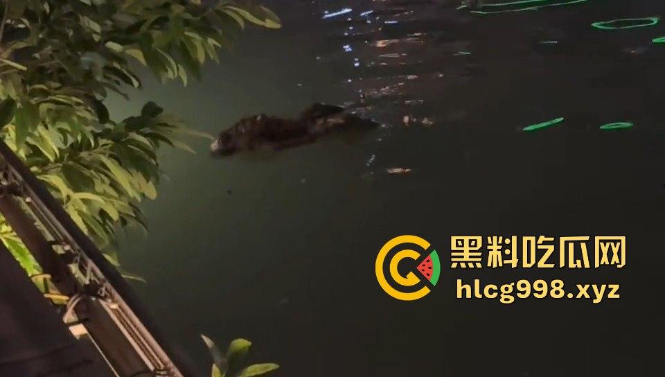 瓜友爆料！成都兰桂坊门口河里惊现浮尸，场面诡异引发热议！-11