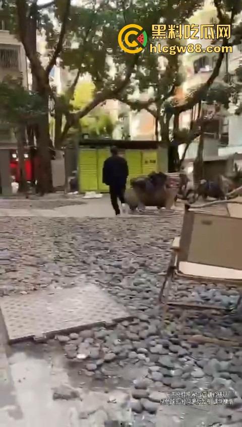 打入成都GAY圈,熊猪文化震碎三观,胖熊陪床8000块,花钱买个肉山压床?到底是什么口味?-5