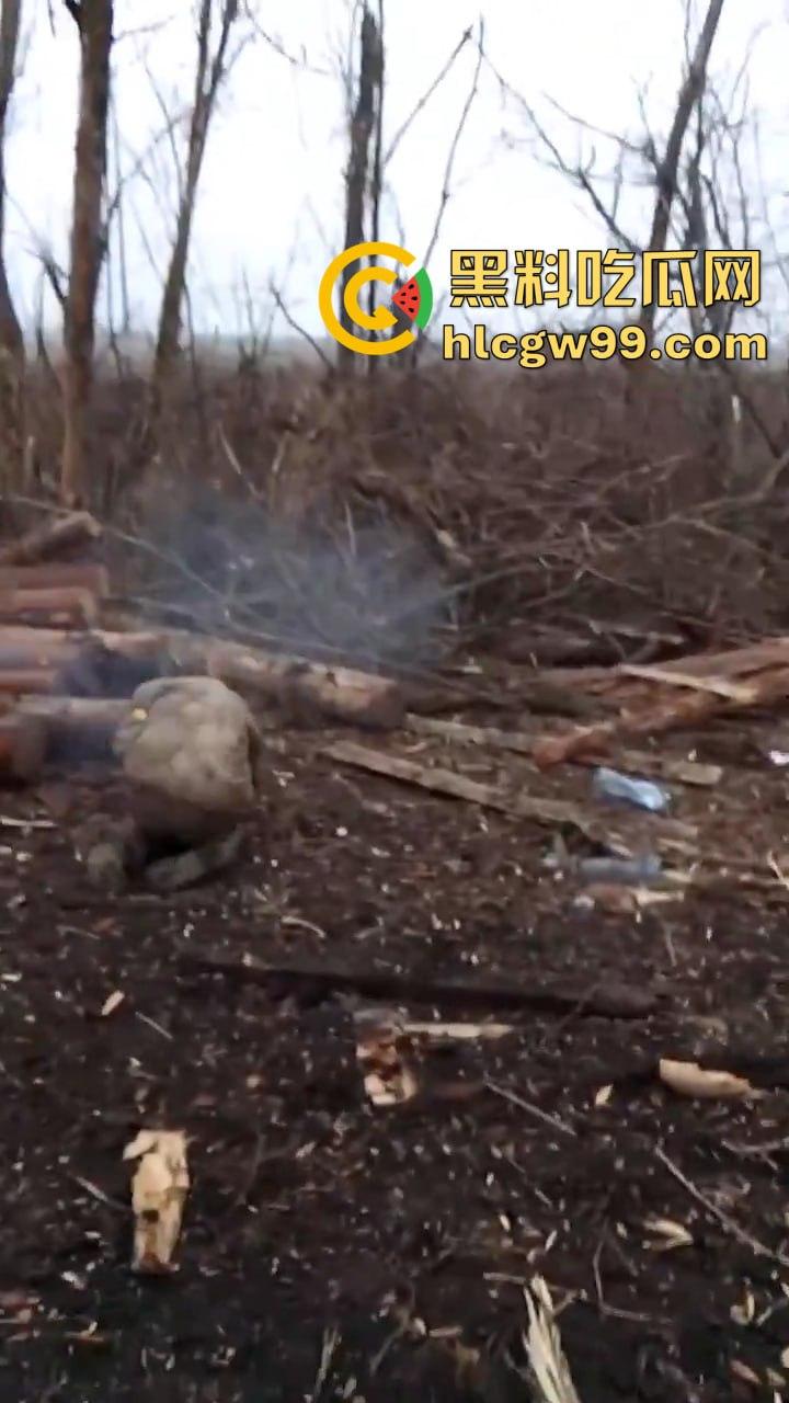 惨无人道！俄乌战场竟公然对俘虏痛下杀手，这暴行像恶魔的爪牙，撕碎了文明的遮羞布-2