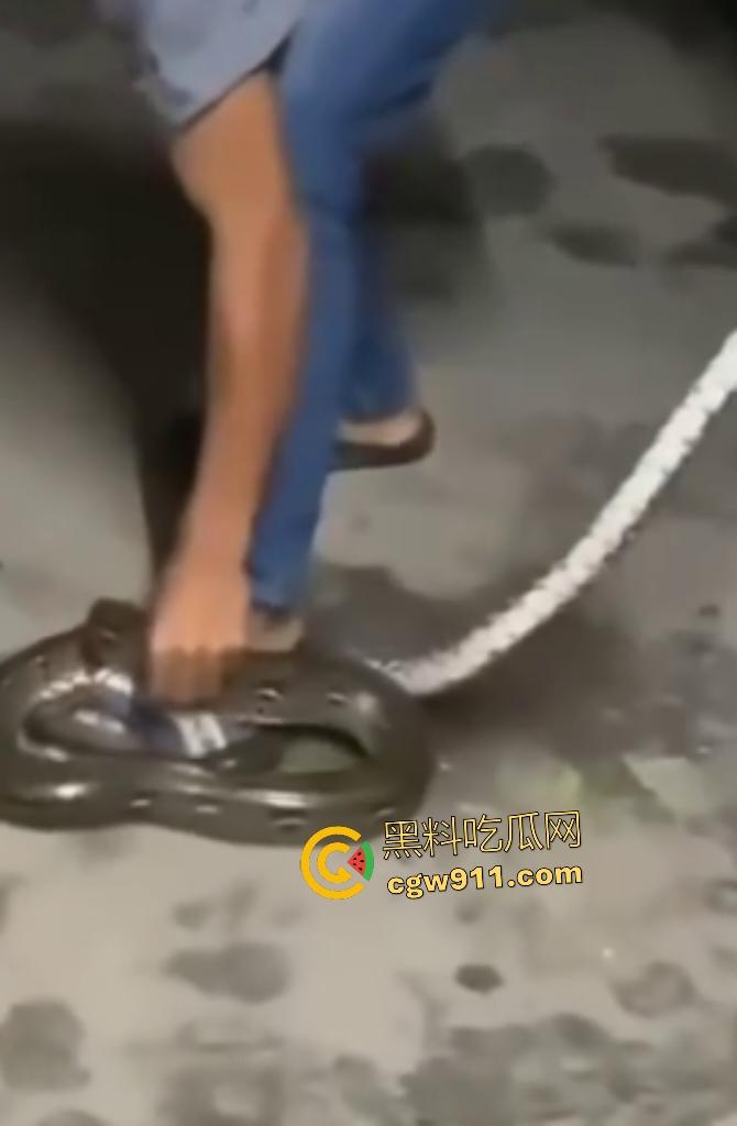印度作死狂人闲蛋疼踩蟒蛇遭反杀！巨蟒一口咬住小腿死缠不放，发觉人太大吃不下灰溜溜逃窜！-2