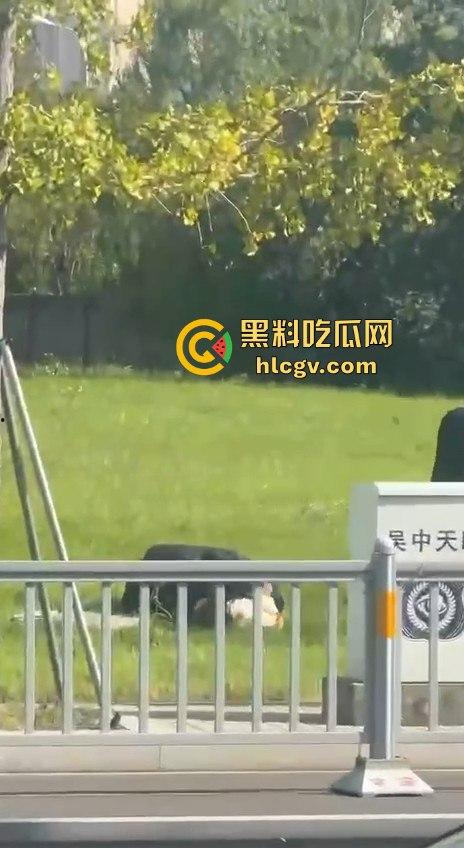 江苏街头霸道总裁当众发狂！大庭广众之下草坪硬上女伴，女性安全真的没个谱！-2