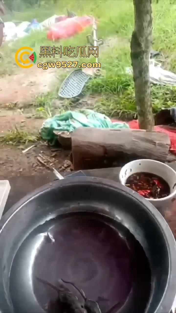 不是哥们这都能生吃呀！真不怕得病?真的极其重口，生吞小老鼠，也不怕得病 ！-7