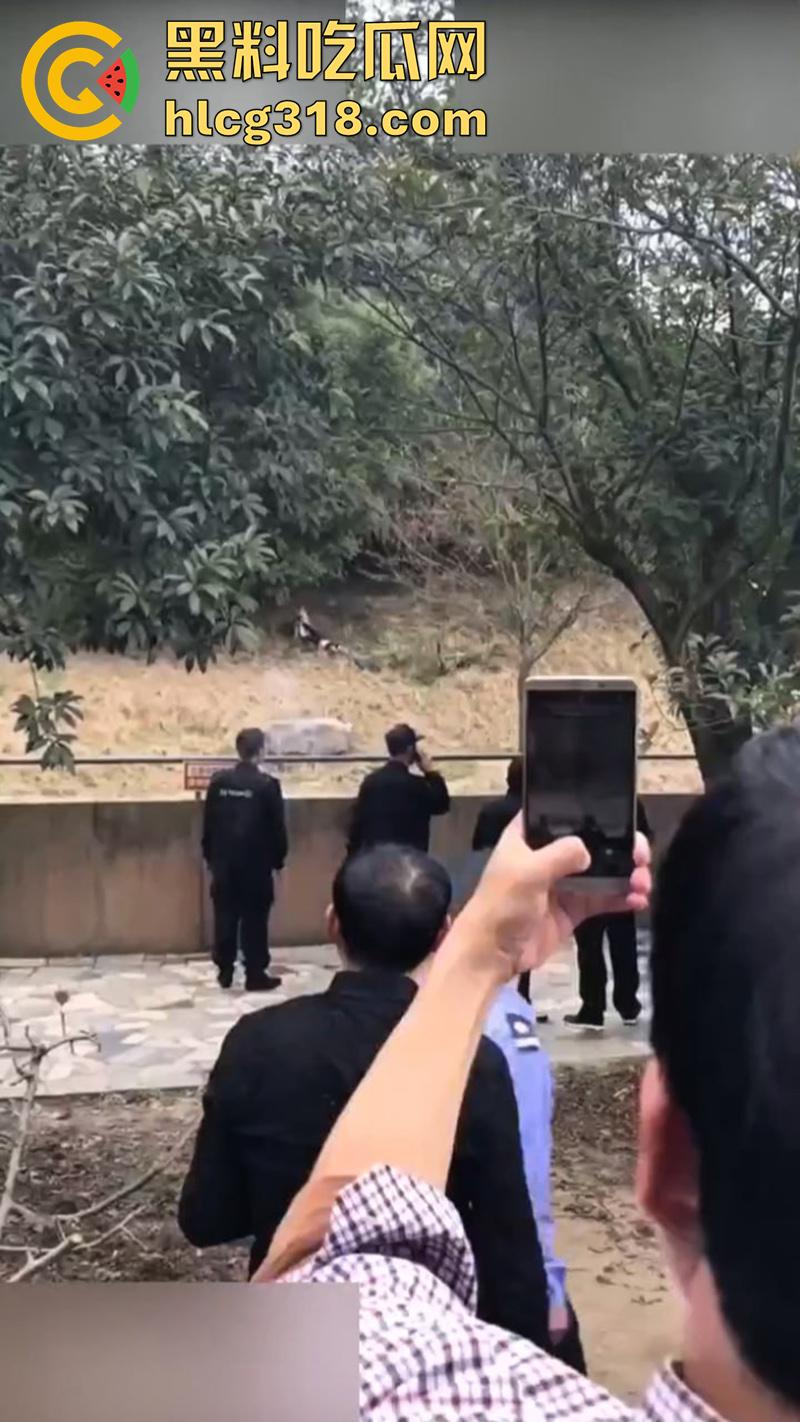 聪明人费尽心思，不如蠢人灵机一动！浙江男子翻越围墙撸老虎，被老虎当场咬死，该老虎已被射杀！-1