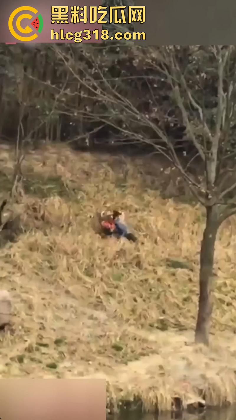 聪明人费尽心思，不如蠢人灵机一动！浙江男子翻越围墙撸老虎，被老虎当场咬死，该老虎已被射杀！-5