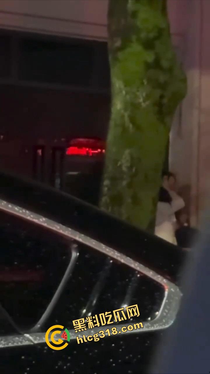 最美不是下雨天,是你在雨中掀开我裙子的那双手!车窗蒙雾,霸道总裁路边抠逼,小情侣偷拍还点评动作细节!-8