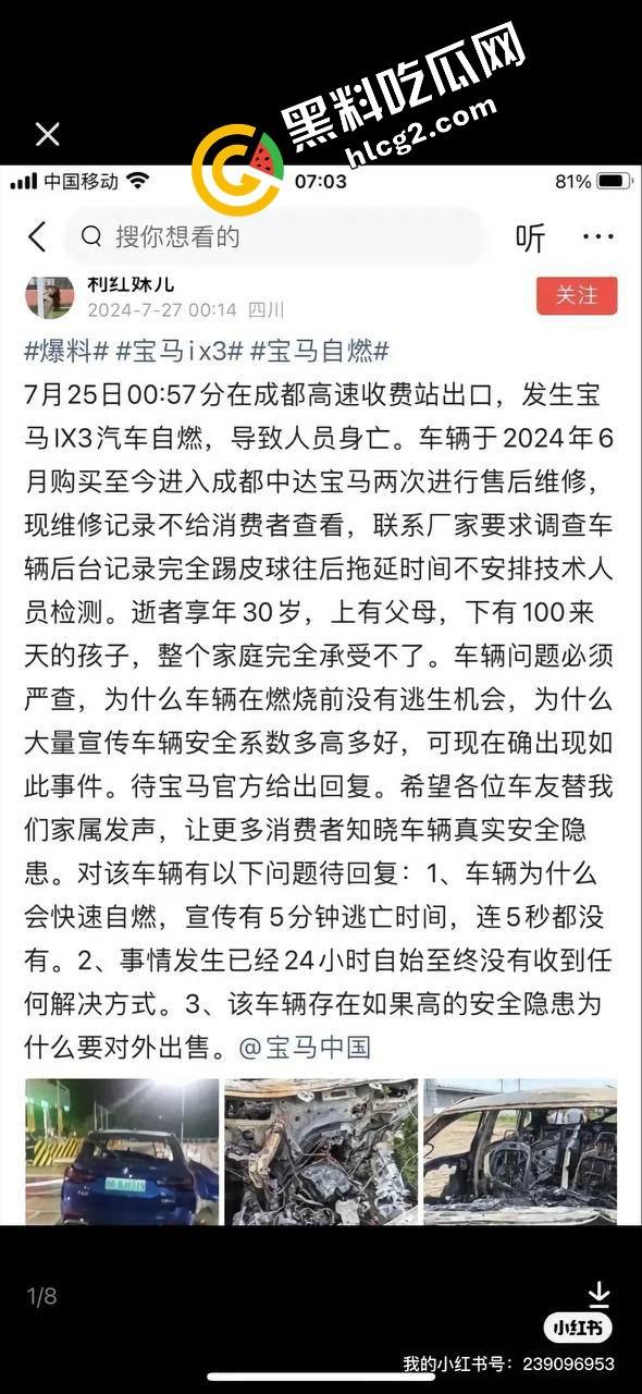 四川成都宝马新能源电车自燃事件!男子超速撞上安全岛 车毁人亡 瞬间火葬当场!-3