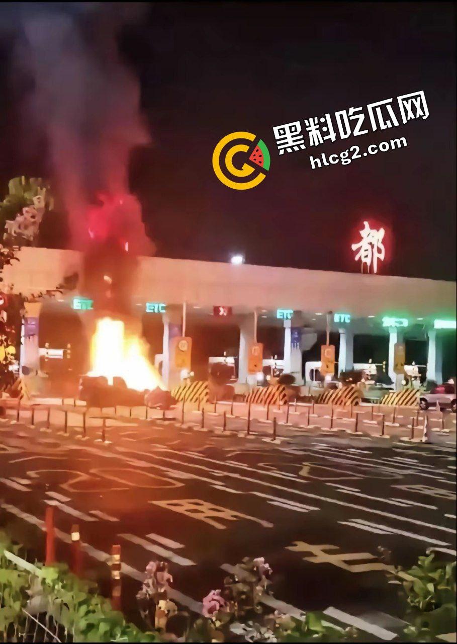 四川成都宝马新能源电车自燃事件!男子超速撞上安全岛 车毁人亡 瞬间火葬当场!-8