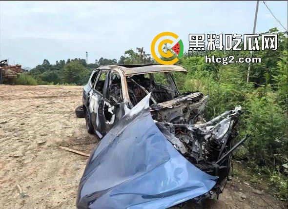 四川成都宝马新能源电车自燃事件!男子超速撞上安全岛 车毁人亡 瞬间火葬当场!-13