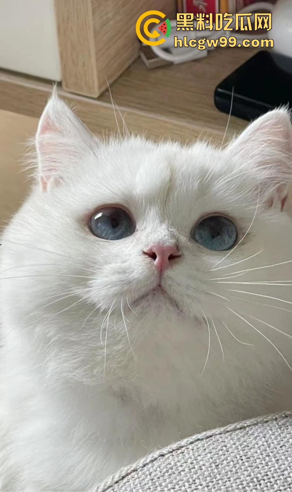 杭州名媛【莎莎】曝光，细腰丰乳肥臀奶子又白又大，富哥专用精盆，联动闺蜜被金主调教啪啪！-7