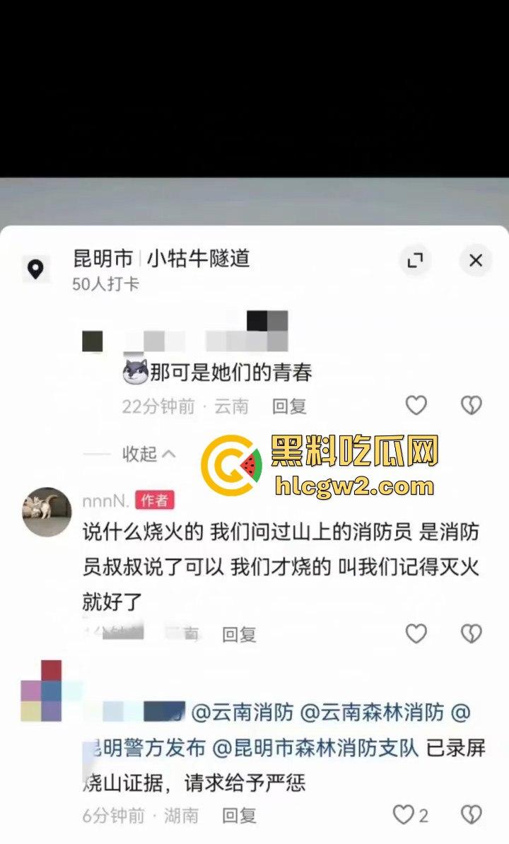 青春无售价却纵火韶山！无知大学生云南东川大牯牛山放火毁二级保护植物 杜鹃花全军覆没！-3