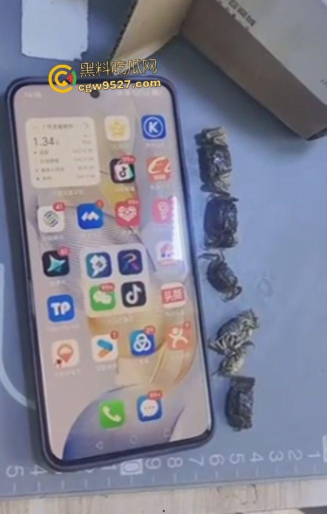 拼多多直播间骗人？69.99元20只“蟹黄满满”大螃蟹翻车！到手拇指大小，网购梦碎，再也不相信网购了！-5