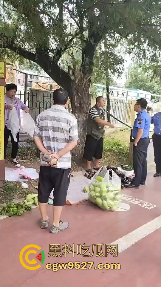 黑龙江城管不讲道理执法,跟买菜小摊贩说两句就上头,牛逼到不行,给个书记他做那不得起飞了!-1