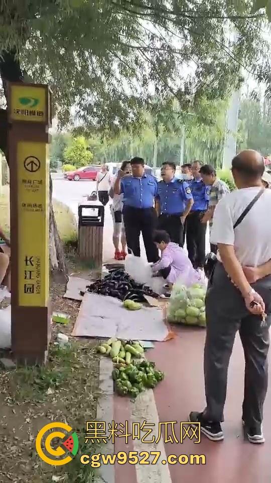 黑龙江城管不讲道理执法,跟买菜小摊贩说两句就上头,牛逼到不行,给个书记他做那不得起飞了!-4