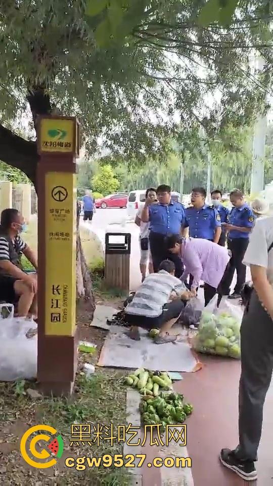 黑龙江城管不讲道理执法,跟买菜小摊贩说两句就上头,牛逼到不行,给个书记他做那不得起飞了!-5