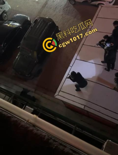 惊讶！宝清市街头惊现巨熊，警察开枪击毙，血洒街头，网友热议动物保护与城市安全！-4