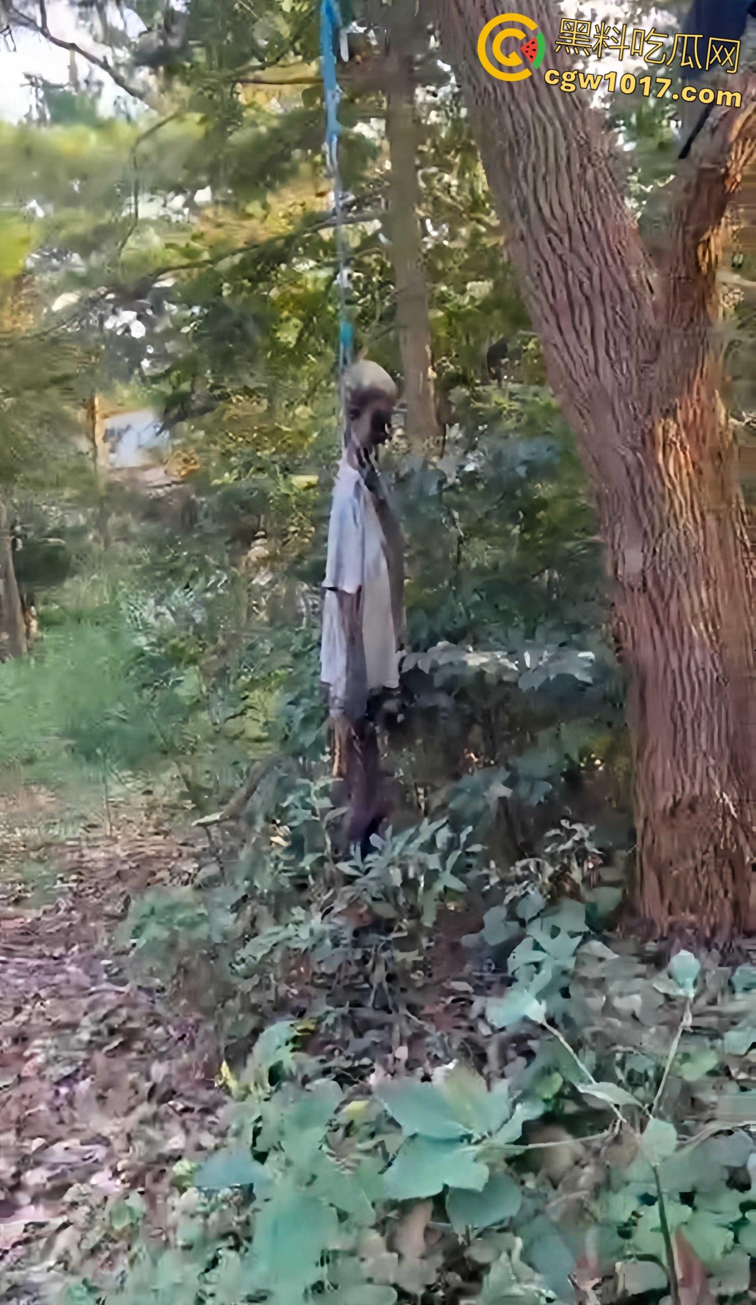 骑行摩托车的摩友意外发现，四明山深处惊现一具吊干尸，尸体已高度干瘪仅剩骨架，疑似死亡数月之久！-7