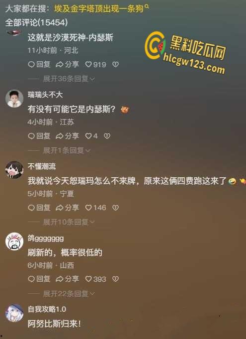 狗狗硬爬126米金字塔顶,狂吠耍帅当“法老”,稳稳下塔震惊全球!-2