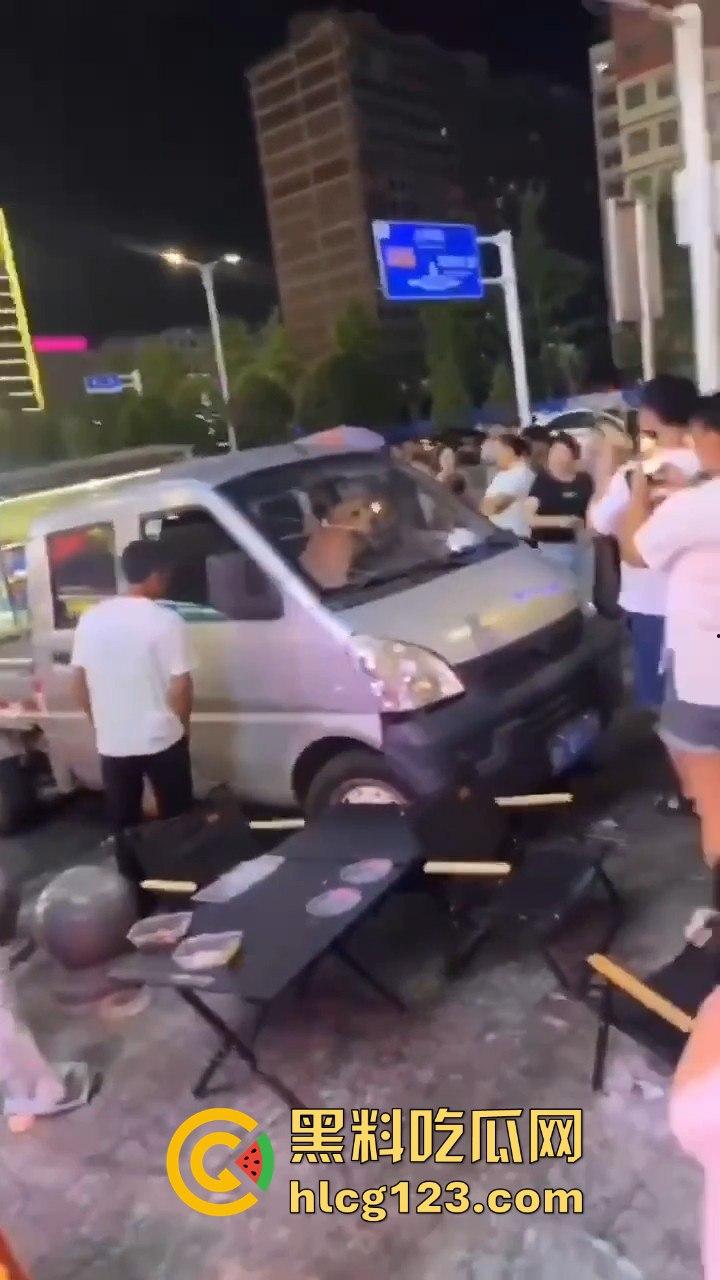 湖南邵东拉布拉多狗司机开倒车撞摊，装无辜伸舌头竟然成了明星！-6