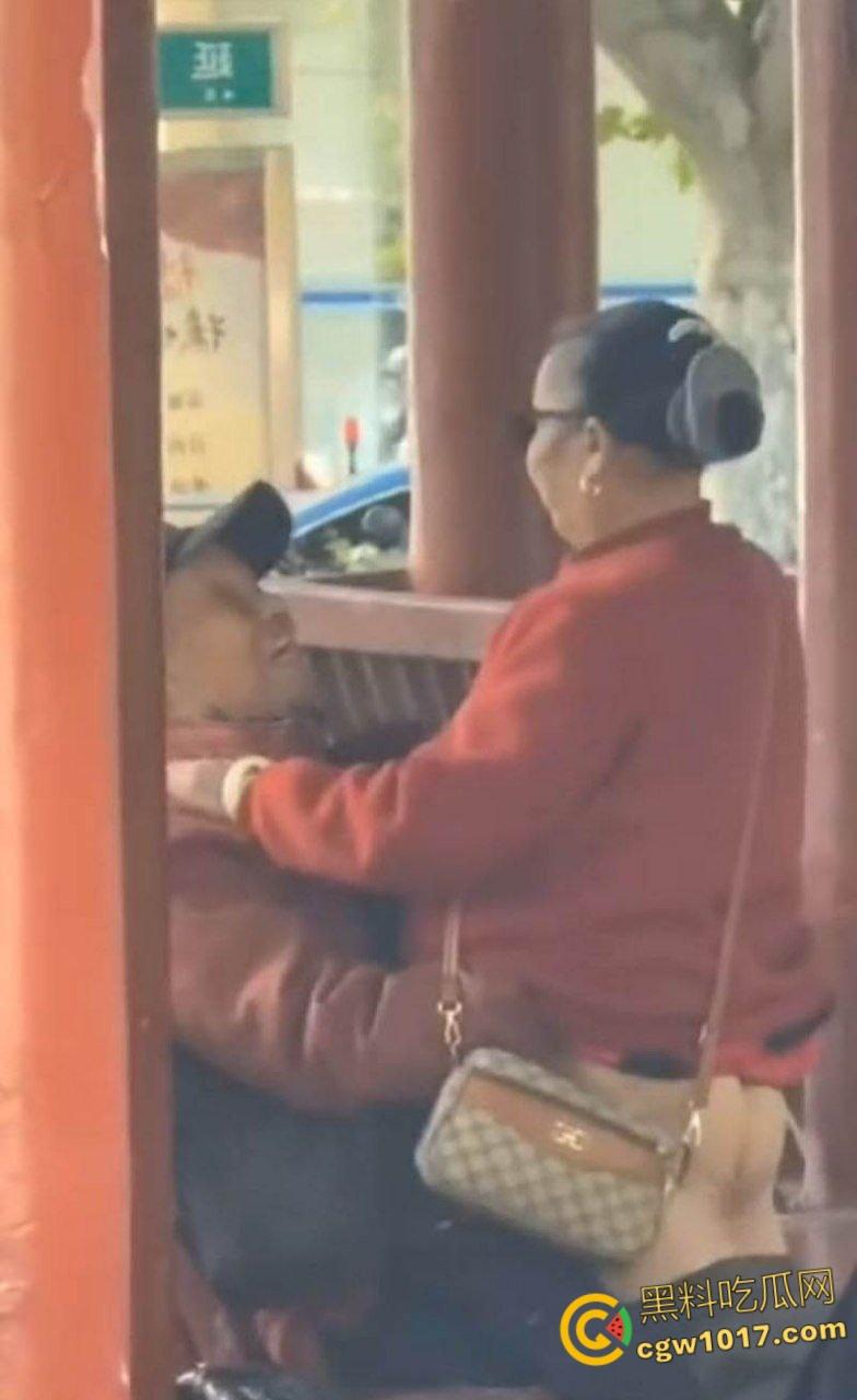 大白天凉亭活春宫，红衣大妈脱裤骑大爷，女上位啪啪响场面极其辣眼睛，大爷满脸春光，围观老头脸都红爆了 ！-4